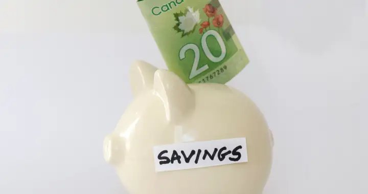 Twice as many Gen Z Canadians plan to save tax refund this year: survey – National