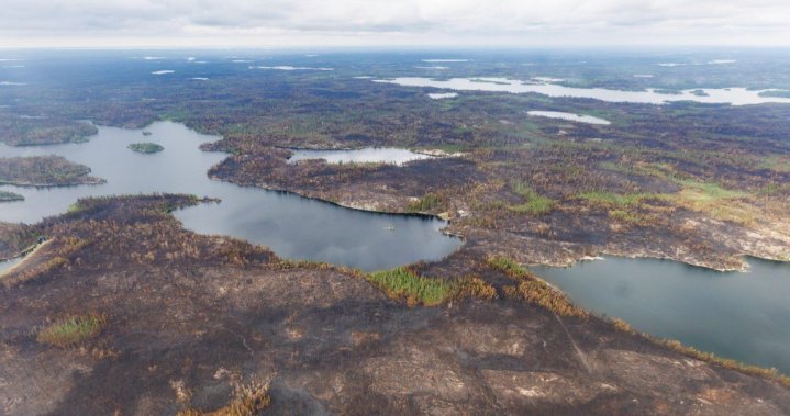 Fast-moving wildfire prompts evacuation order near Shellbrook, Sask.
