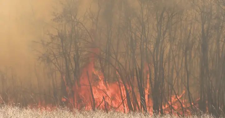 Saskatchewan officials urge caution as dry weather triggers wildfires – Regina