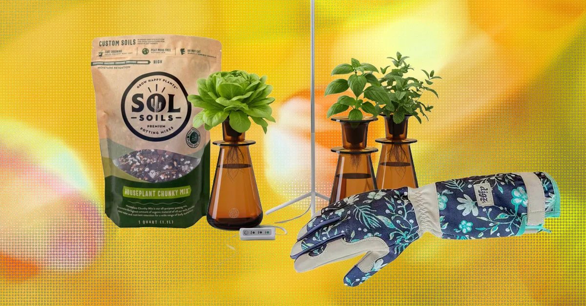 15 Best Gifts for Plant Lovers and Gardeners (2026)