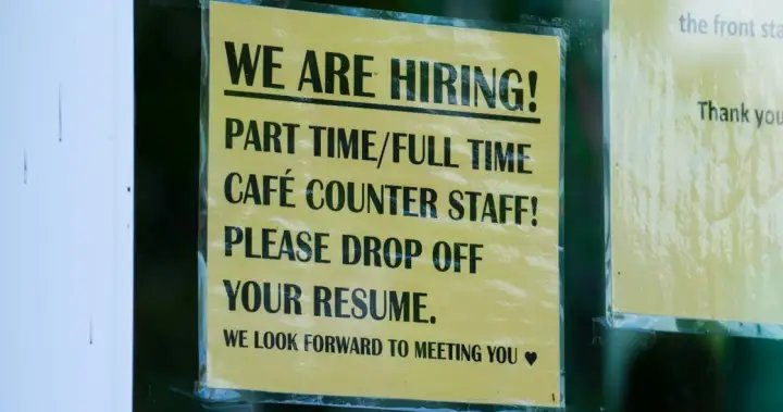 Young Canadians are looking for jobs — just not where employers are hiring – National