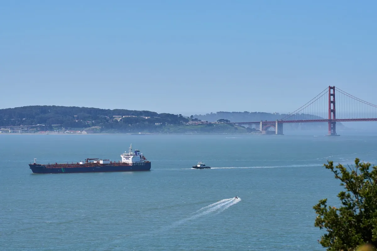 San Francisco turns to AI to avoid collisions between ships and whales searching for food