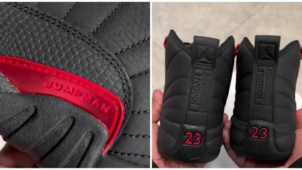 Air Jordan 12 Retro ‘Bloodline’ Release Date CT8013-001