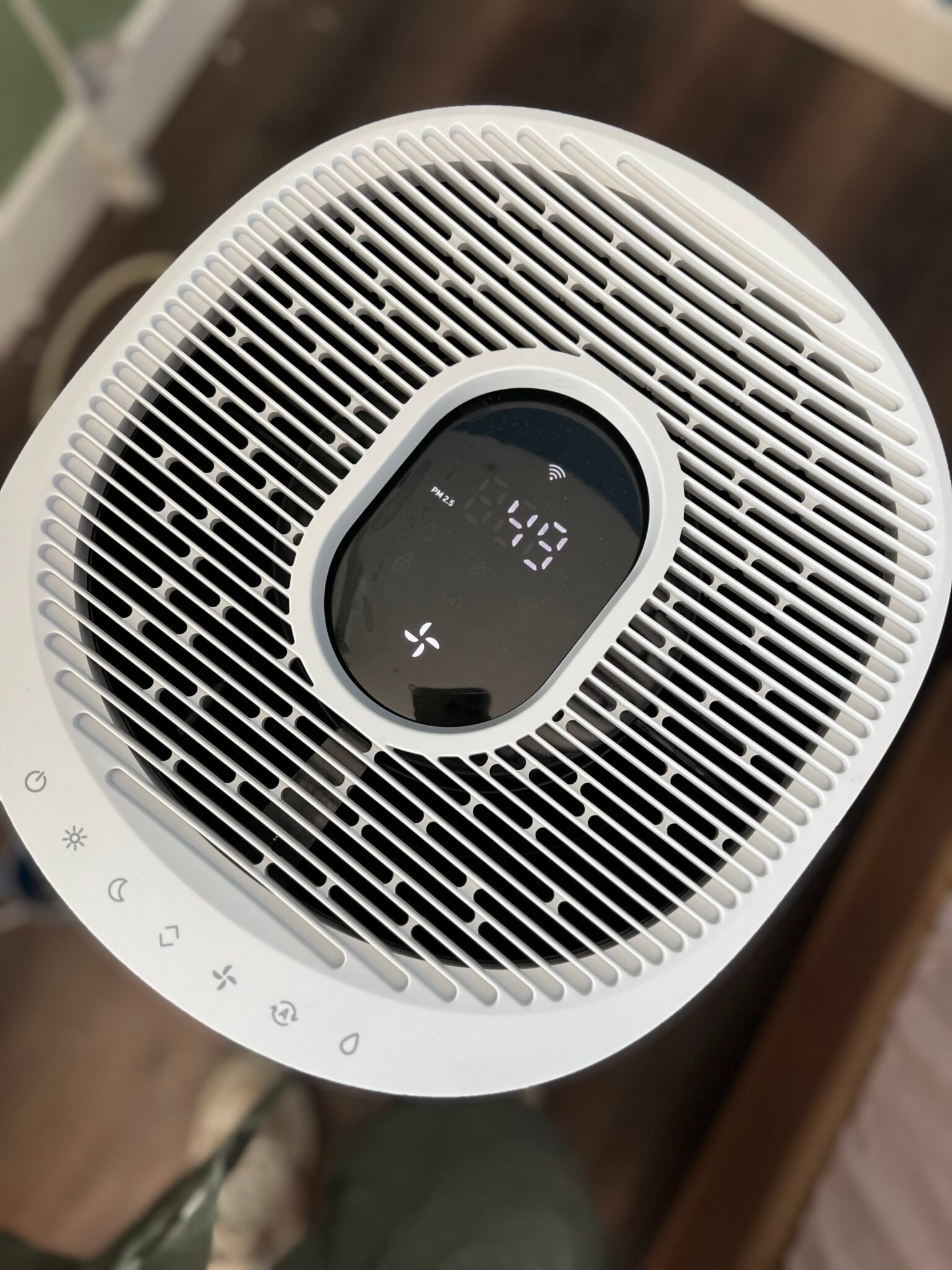 The Real Benefits Of Air Purifiers (Plus The Best Ones)