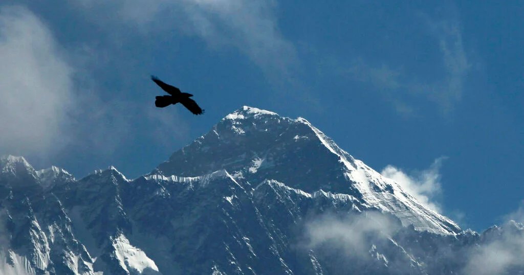 American climber Tyler Andrews summits Mount Everest in record time, his team says