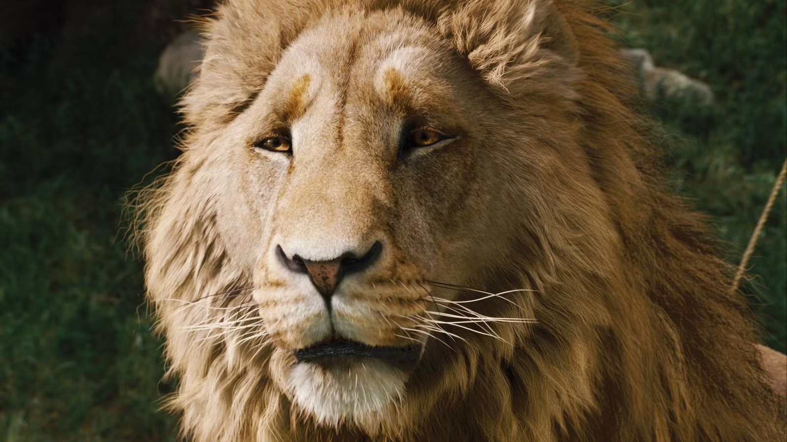 Netflix’s Narnia: The Magician’s Nephew delayed to 2027