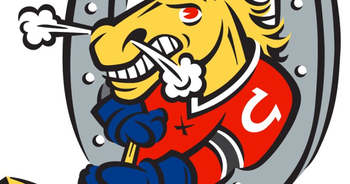 OHL files Barrie Colts $15K for ‘unprofessional’ post-game press conference
