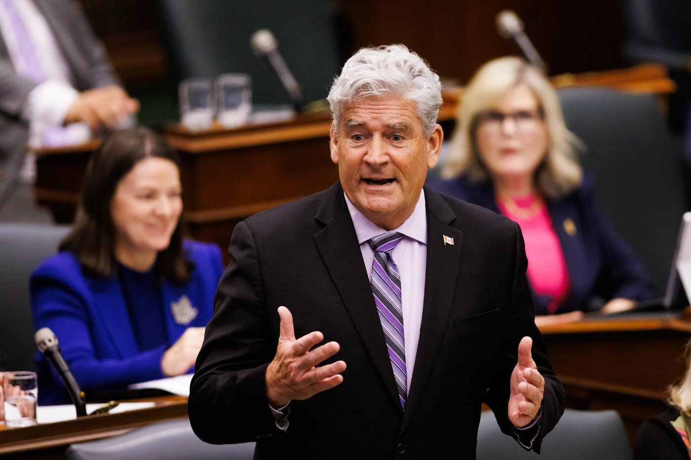 Ontario Liberal interim leader says nomination was fair, despite candidate’s comments