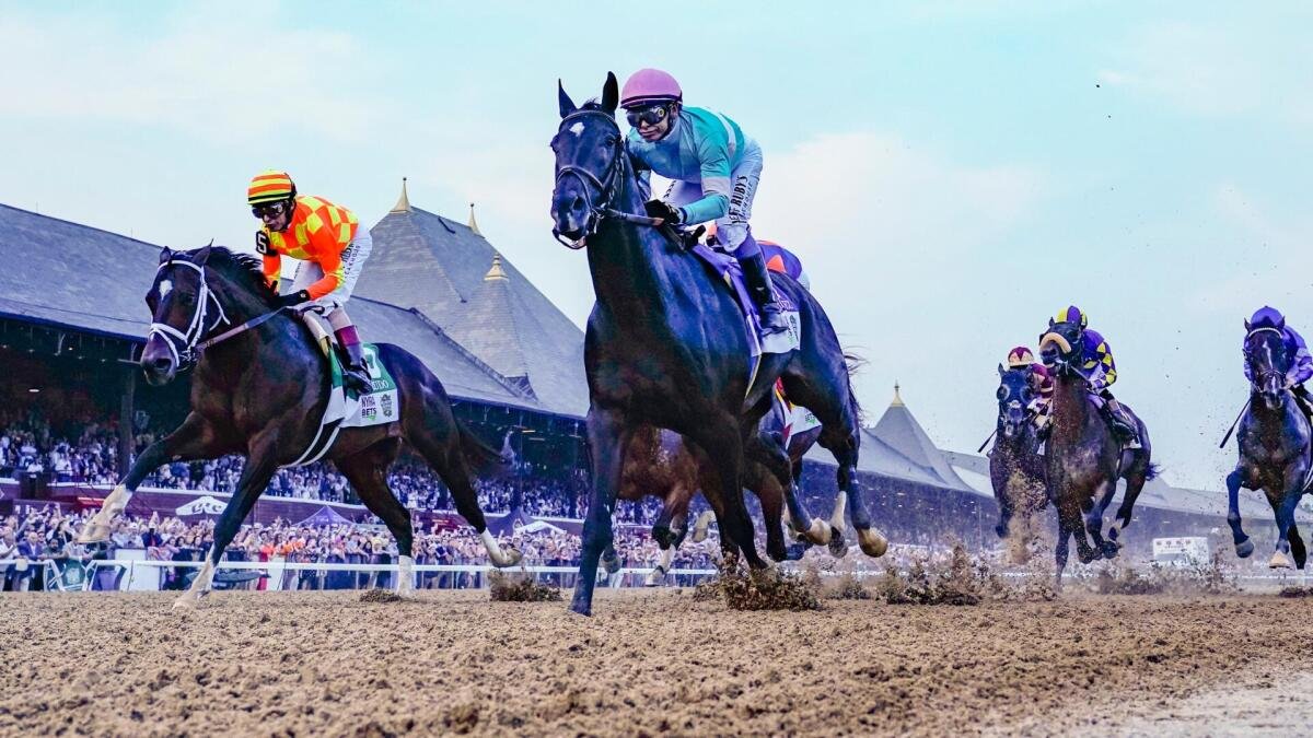 2026 Belmont Stakes horses, odds, date: Picks by expert who’s nailed 4 winners