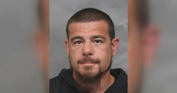 Former BOLO most wanted fugitive pleads guilty in relation to fatal shooting – Toronto