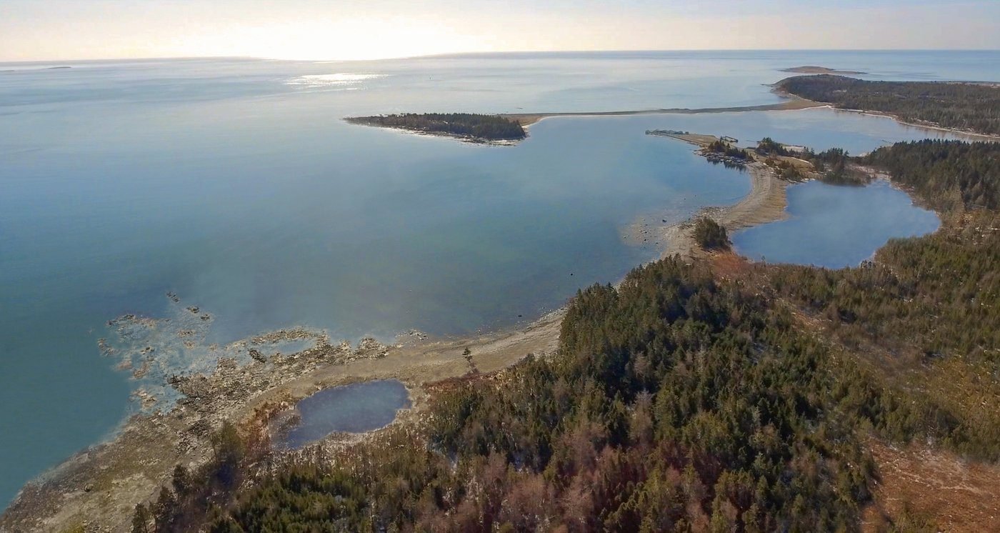 France rejects plan to send its last two captive orcas to live in Nova Scotia refuge
