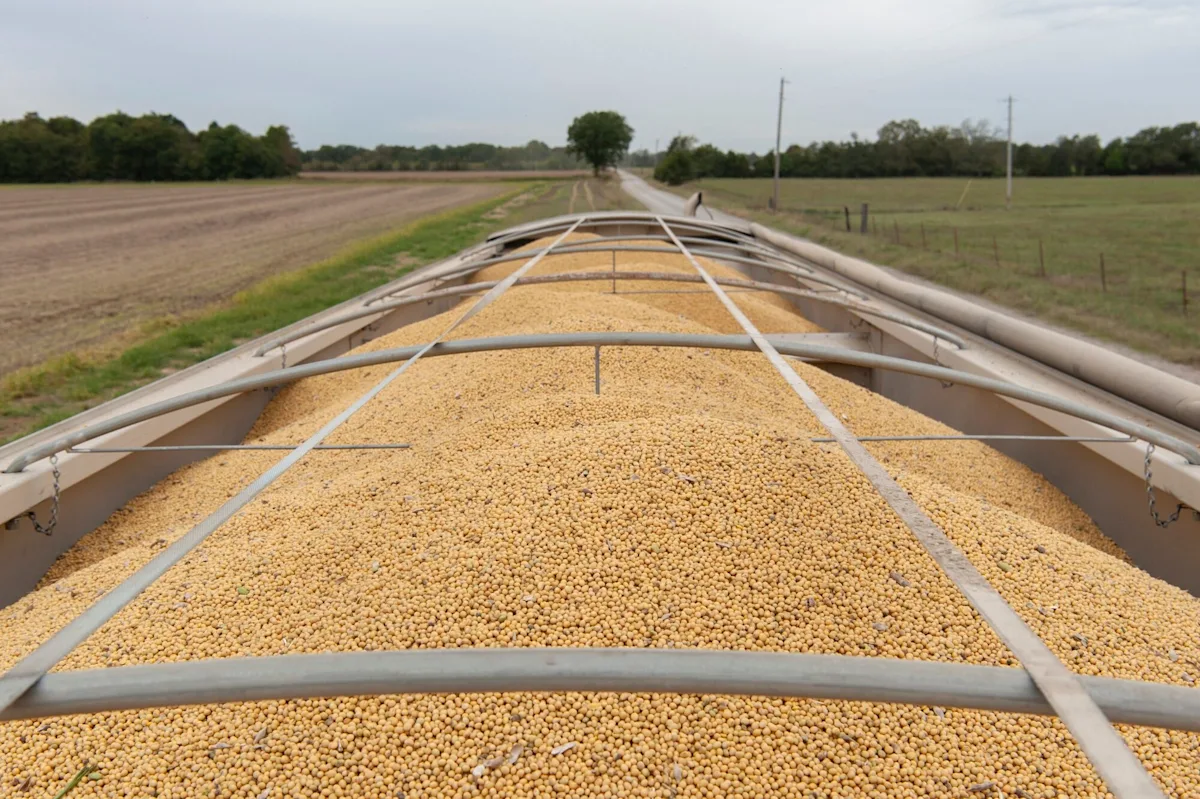 Corn, Wheat Jump as US Fuels China Crop Export Hopes Beyond Soy