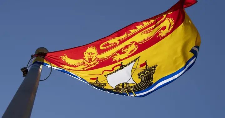 New Brunswick voters wake to new mayors, councillors after municipal elections – New Brunswick