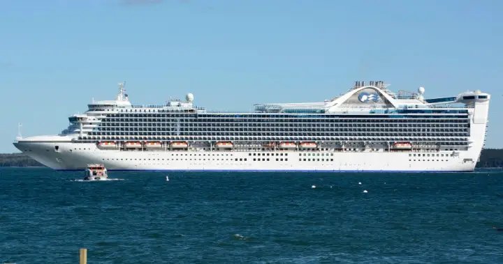 More than 100 sick in norovirus outbreak on Caribbean Princess cruise ship – National