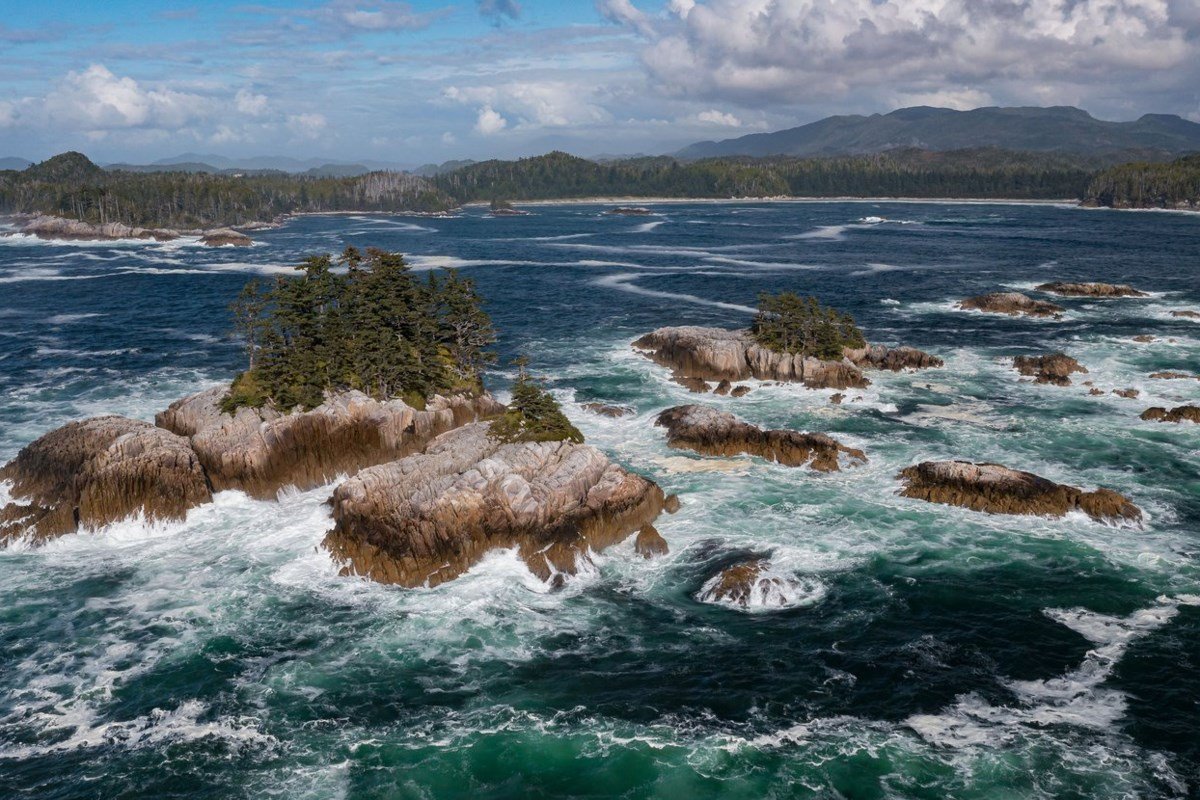 Vast marine conservation reserve, bigger than P.E.I., to protect B.C. central coast