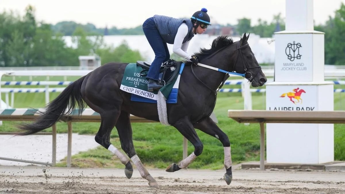 2026 Preakness Stakes predictions, odds, field, contenders, post time: Picks from proven horse racing expert
