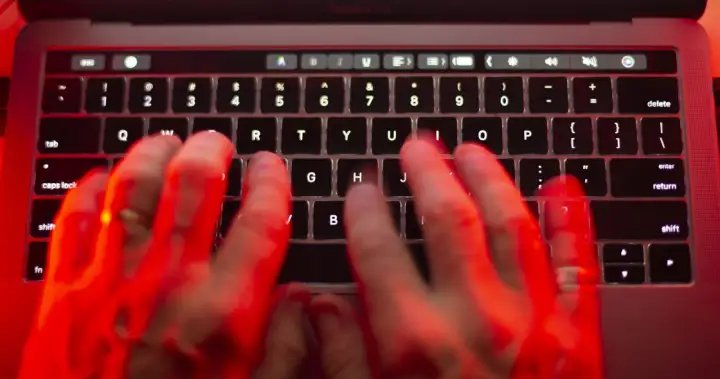 Canadians face more fraud in dating and online forums than global average – National