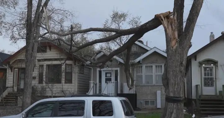 Power outages reported in Saskatchewan as ‘extreme’ winds blow across south