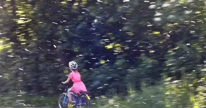 Runny nose? Itchy? Experts say seasonal allergies worsening due to increase in pollen – National