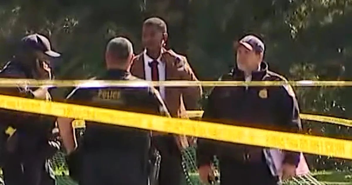 Secret Service shoots armed man near White House