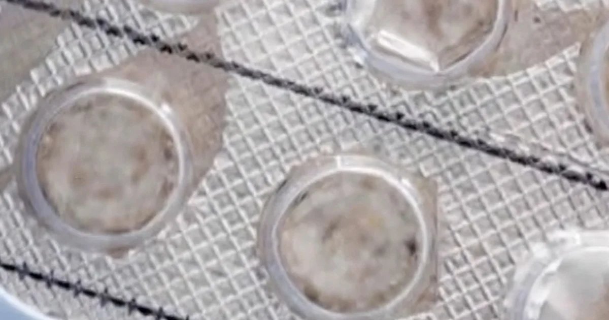 Abortion pill maker asks to restore mail access