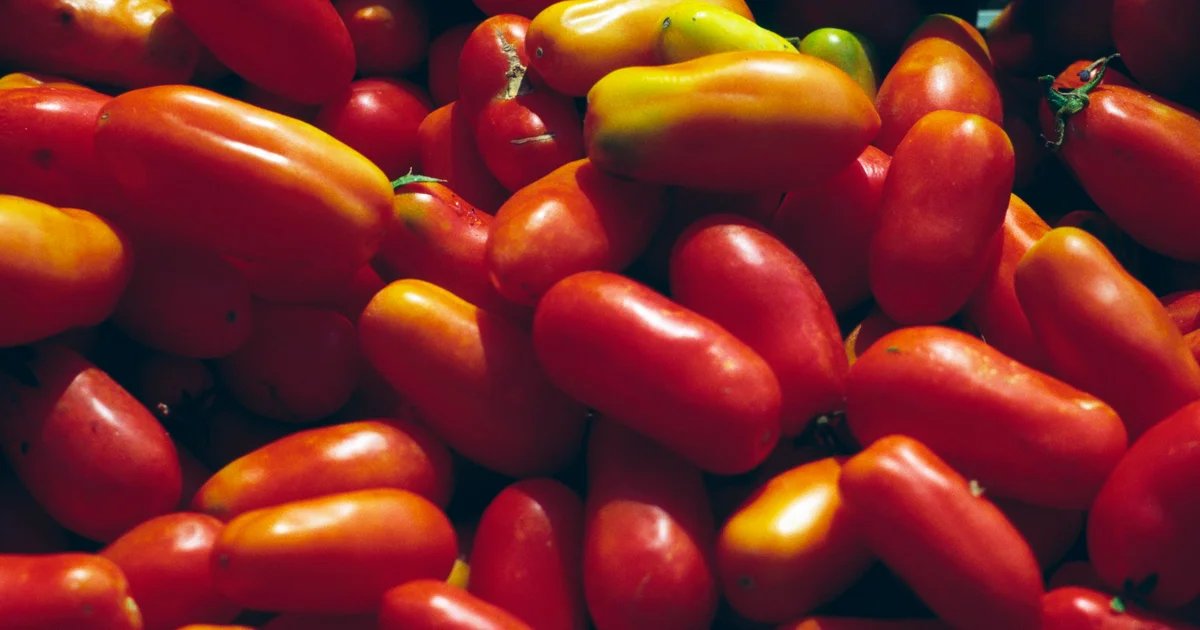 Food manufacturer Cento is committing “tomato fraud,” lawsuit alleges