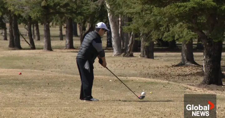 Saskatoon and Regina open city golf courses to the public – Saskatoon