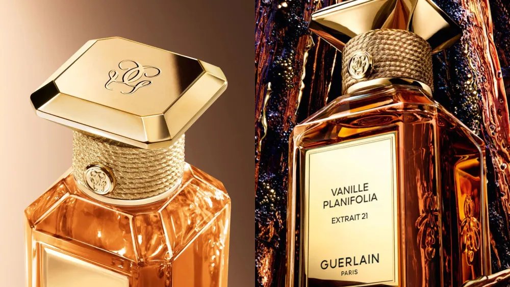 Guerlain Vanille Planifolia Perfume: Price, Ingredients, Shop Online