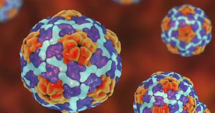 Manitoba health officials say ongoing hepatitis A outbreak has worsened – Winnipeg