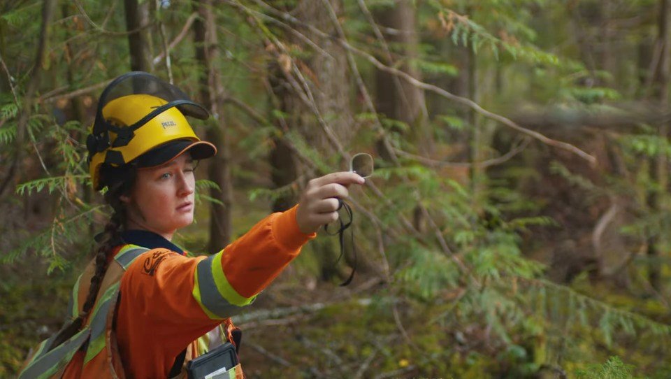 Experts warn BC’s forest carbon market hitting a ‘dead end’