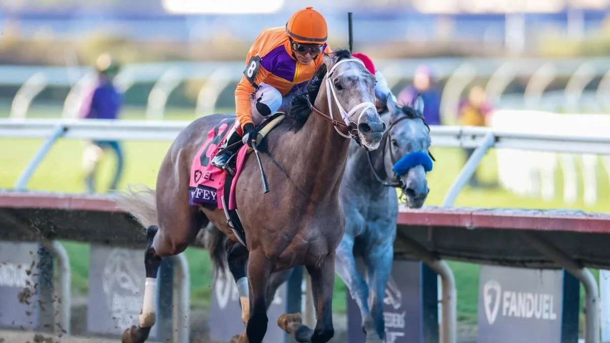 Preakness Stakes 2026 predictions, odds, horses: Optimal win, place, show, exacta, trifecta, superfecta picks