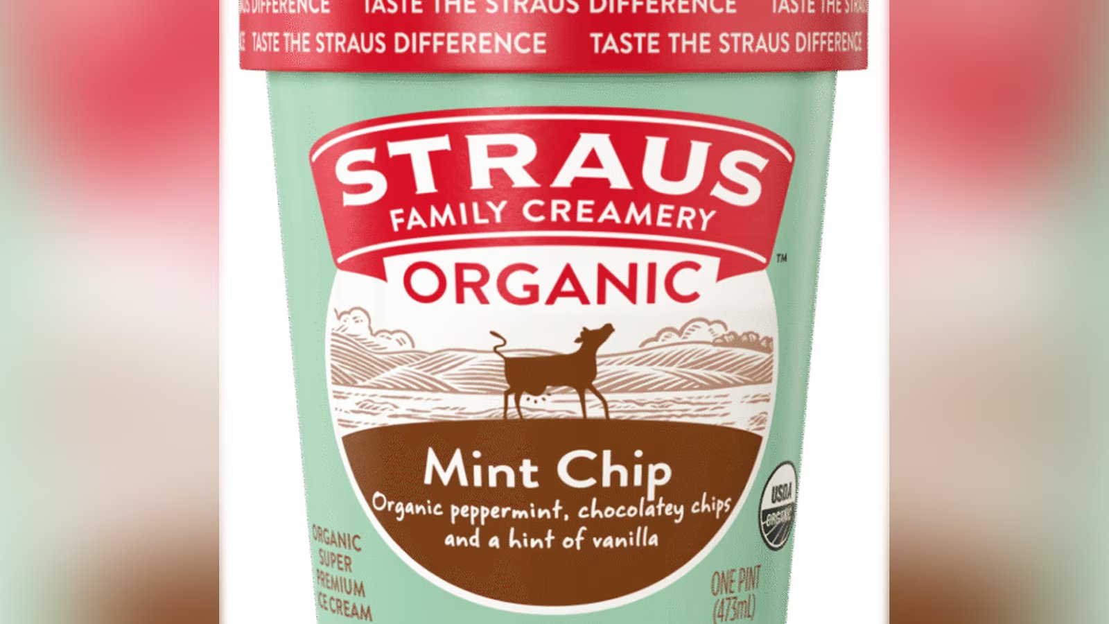 Ice cream sold in 17 states voluntarily recalled by company for possible metal fragments