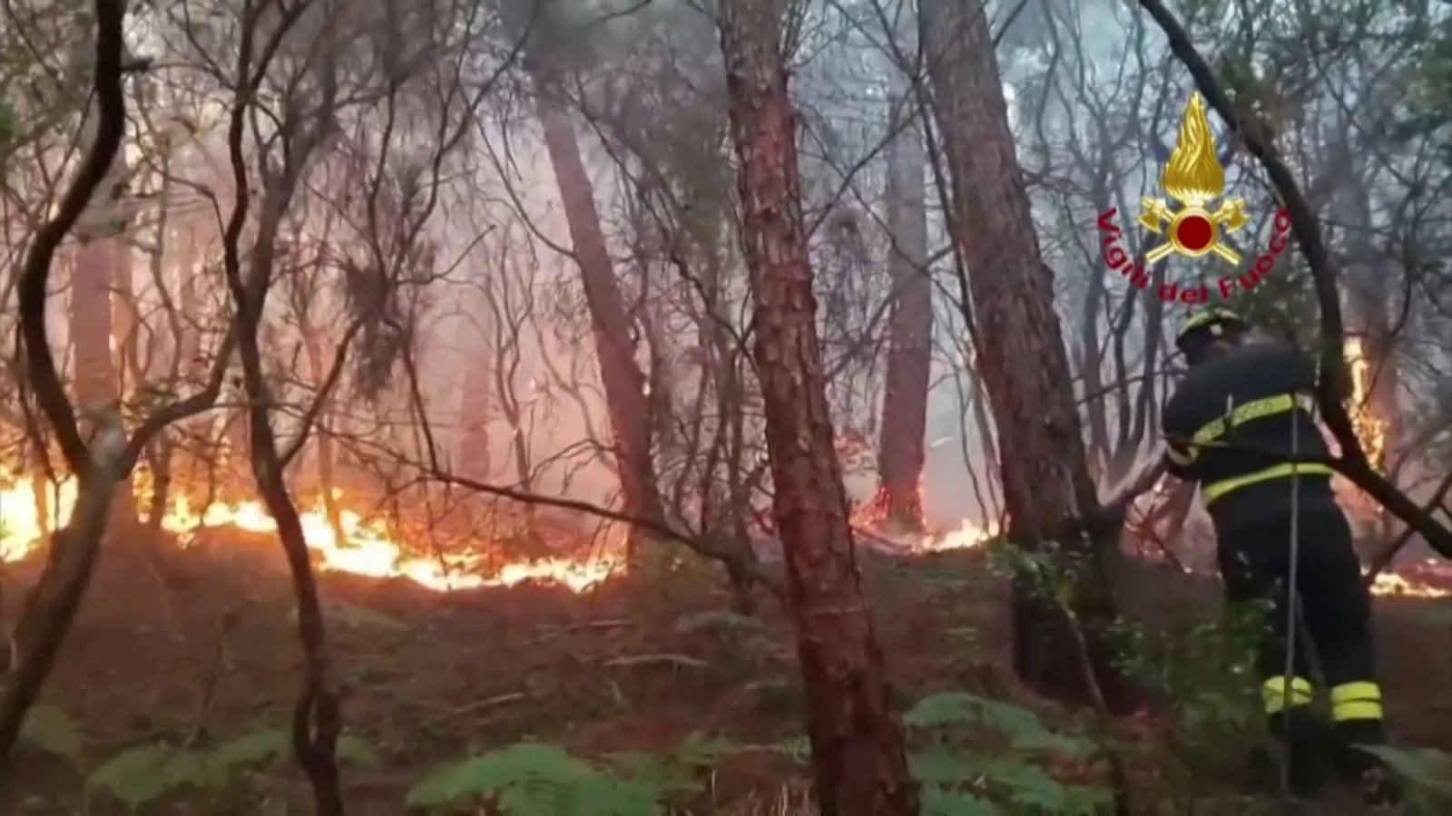 Italian firefighters respond to Tuscany wildfires | Newsfeed