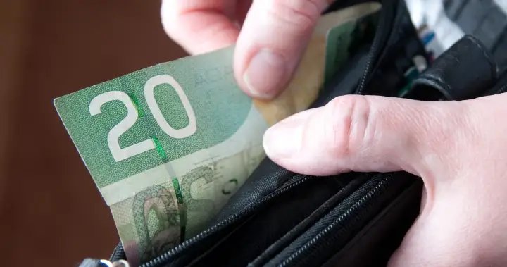 Consumer insolvencies highest since 2009 as Canadians struggle with debt – National