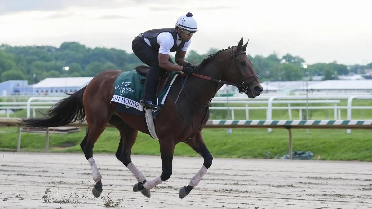 2026 Preakness Stakes horses, odds: Picks by expert who’s nailed 11 winners