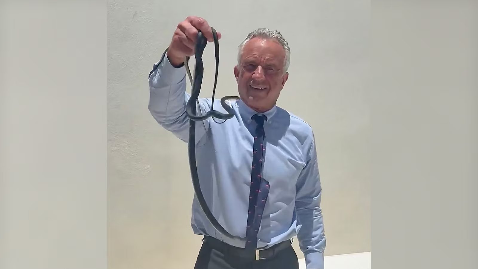 RFK Jr. captures pair of snakes in viral video