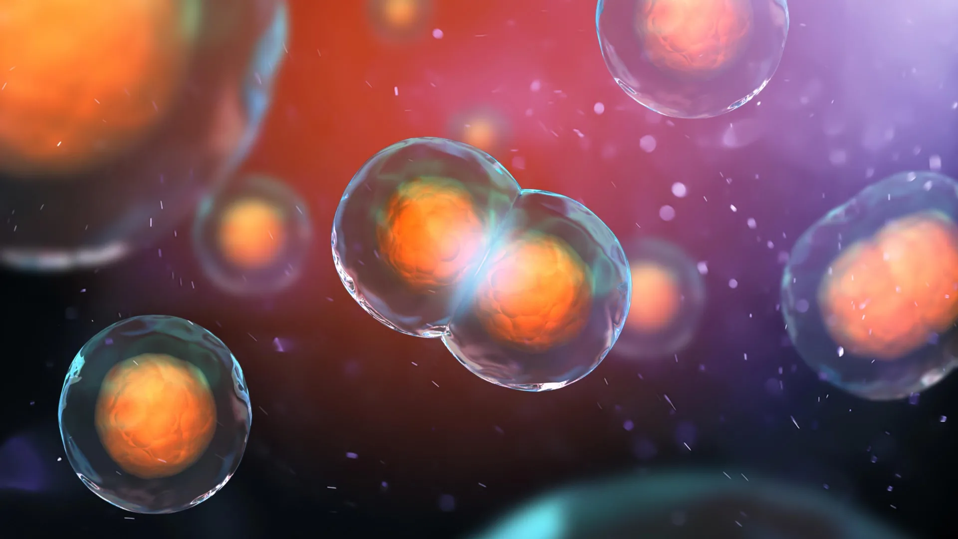 Scientists discover why some DNA-doubled cells refuse to die