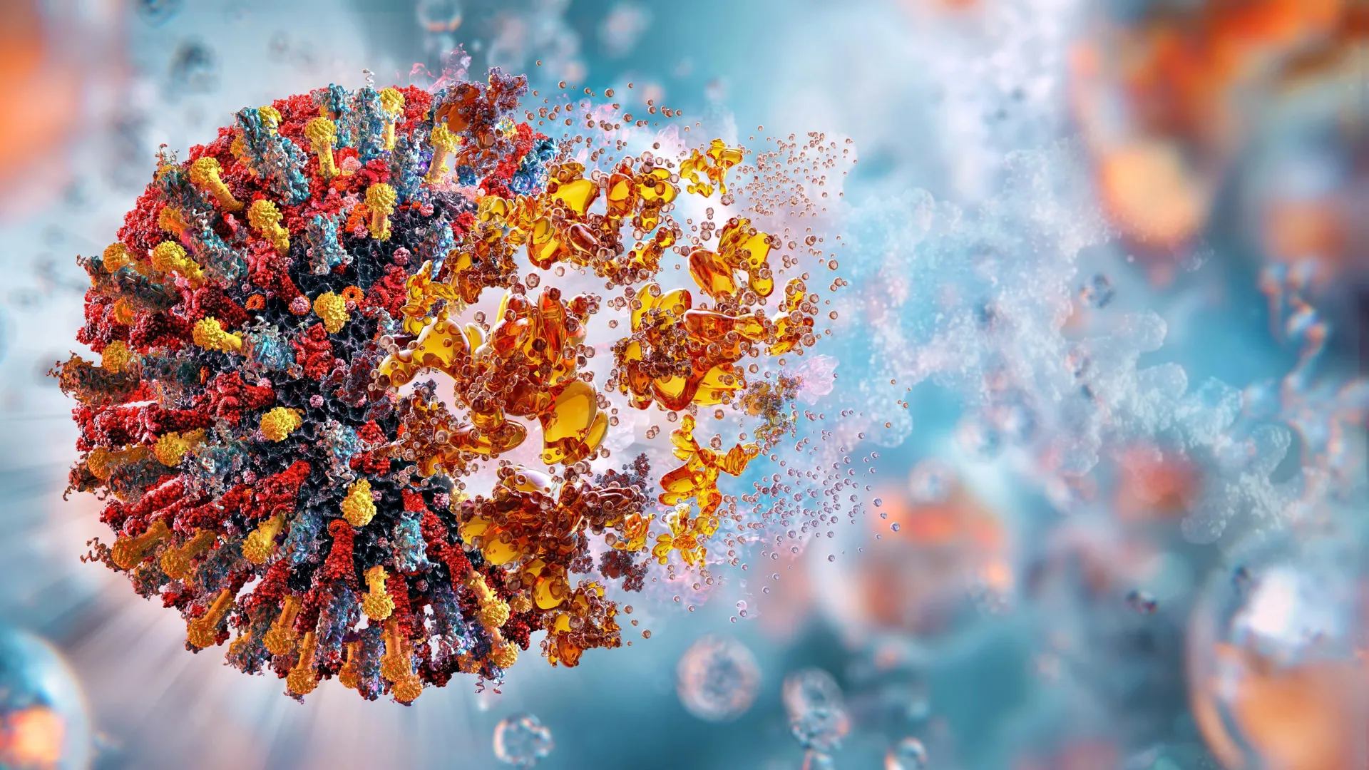 Scientists discover a weak spot shared by polio and common cold viruses