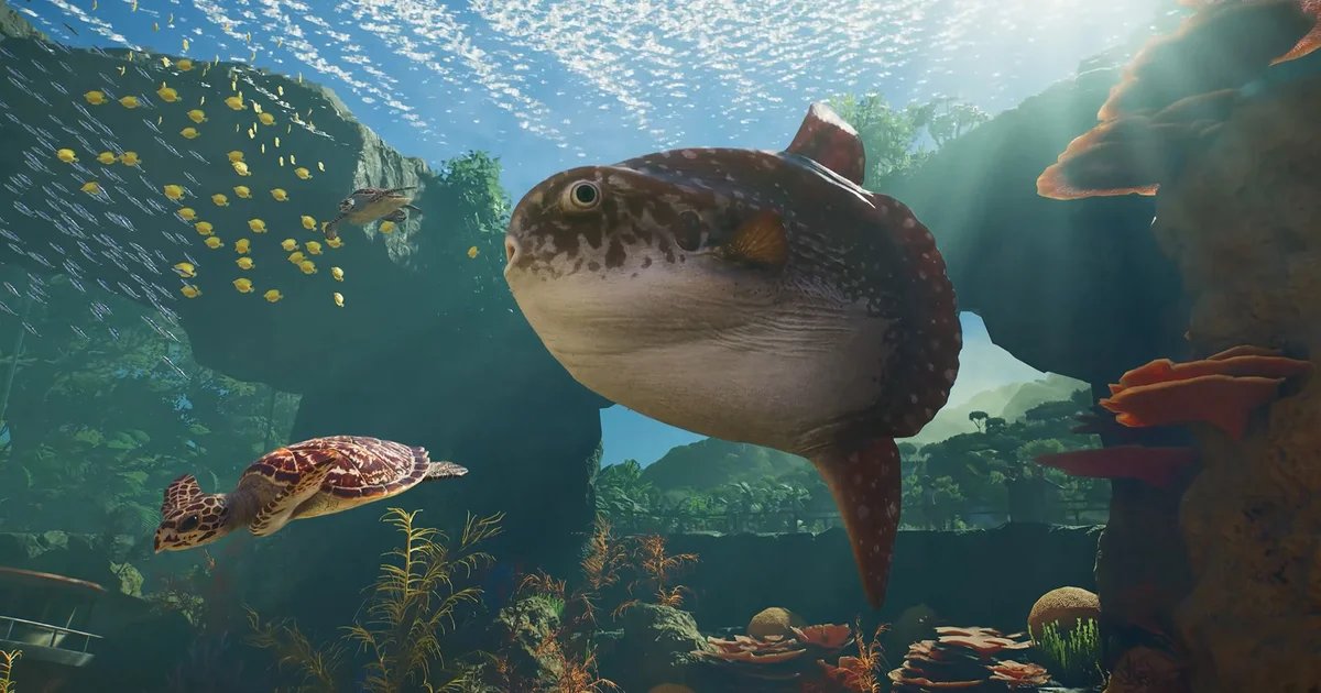 Planet Zoo 2 is on the way later this year, adding in aquatic animals as a big win for mola mola lovers
