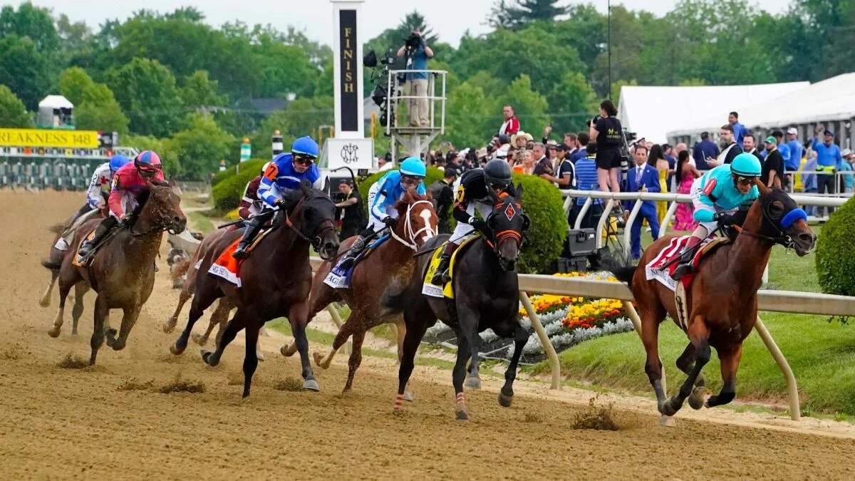 2026 Preakness Stakes horses, odds, posts: Picks by expert who’s nailed 11 winners