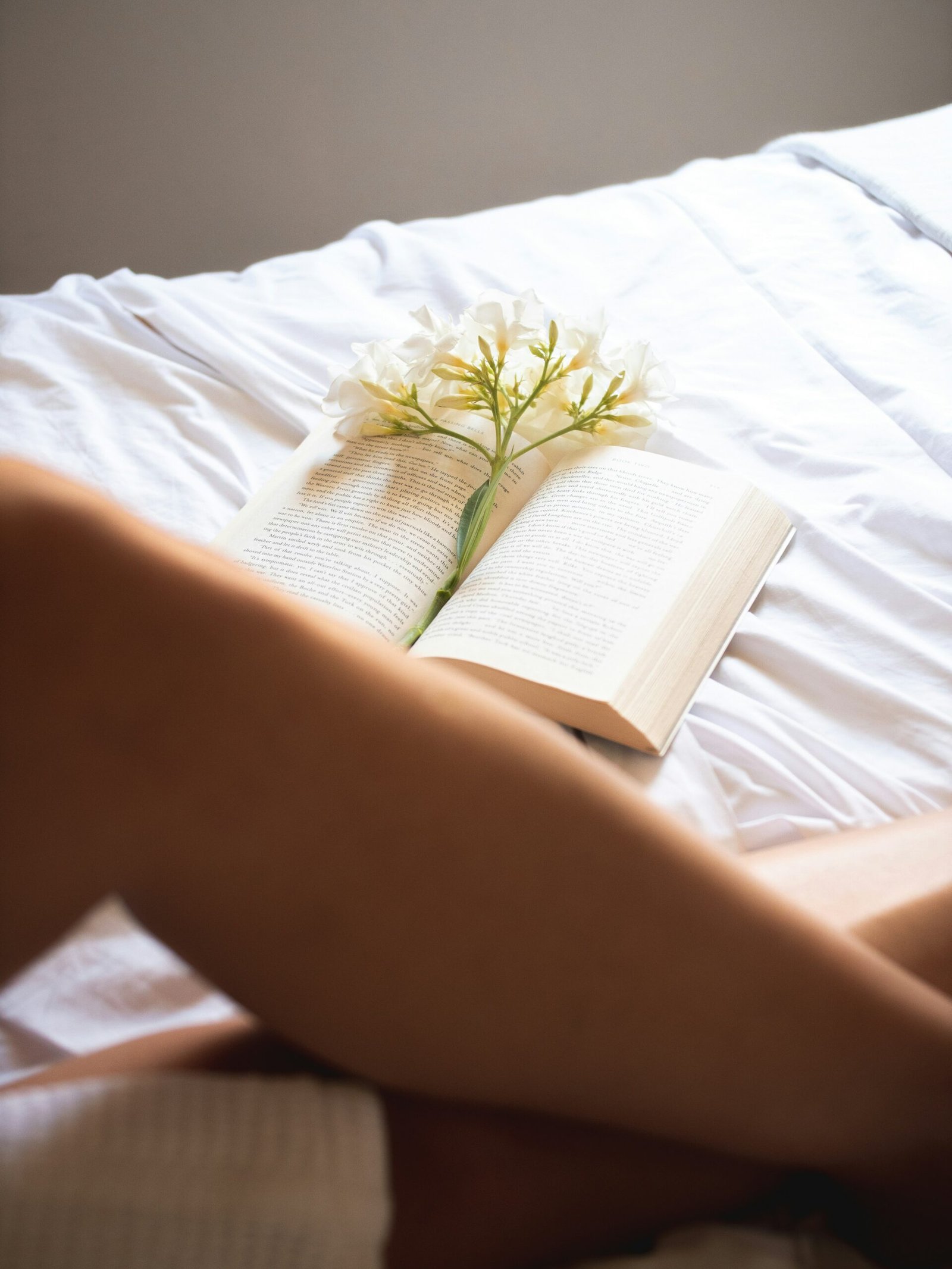99+ Best Romantic Fantasy (AKA “Romantasy”) Books We Love