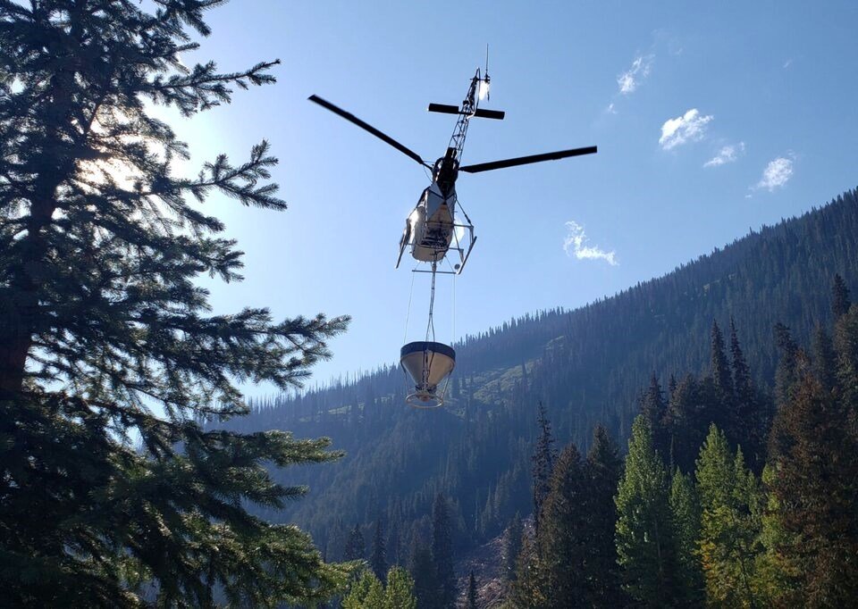 B.C. fined $32K after forest fertilizer spill kills 13 cows