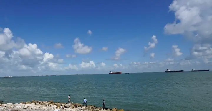 Texas teen bit, hospitalized after reportedly trying to bring shark on boat – National
