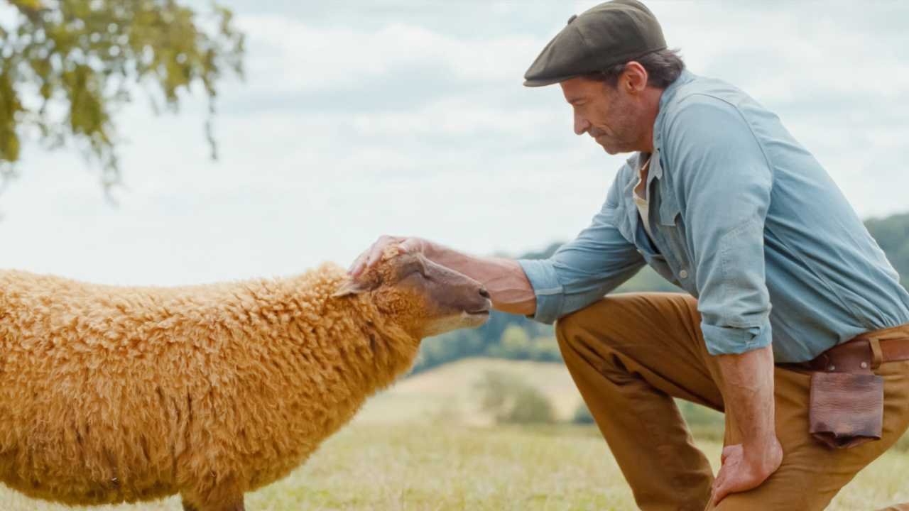 Movie Review: ‘The Sheep Detectives’