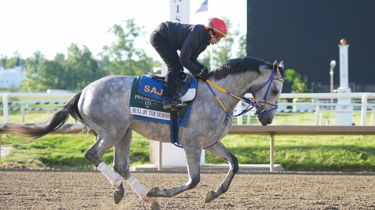 2026 Preakness Stakes horses, odds: Picks by expert who’s nailed 11 winners