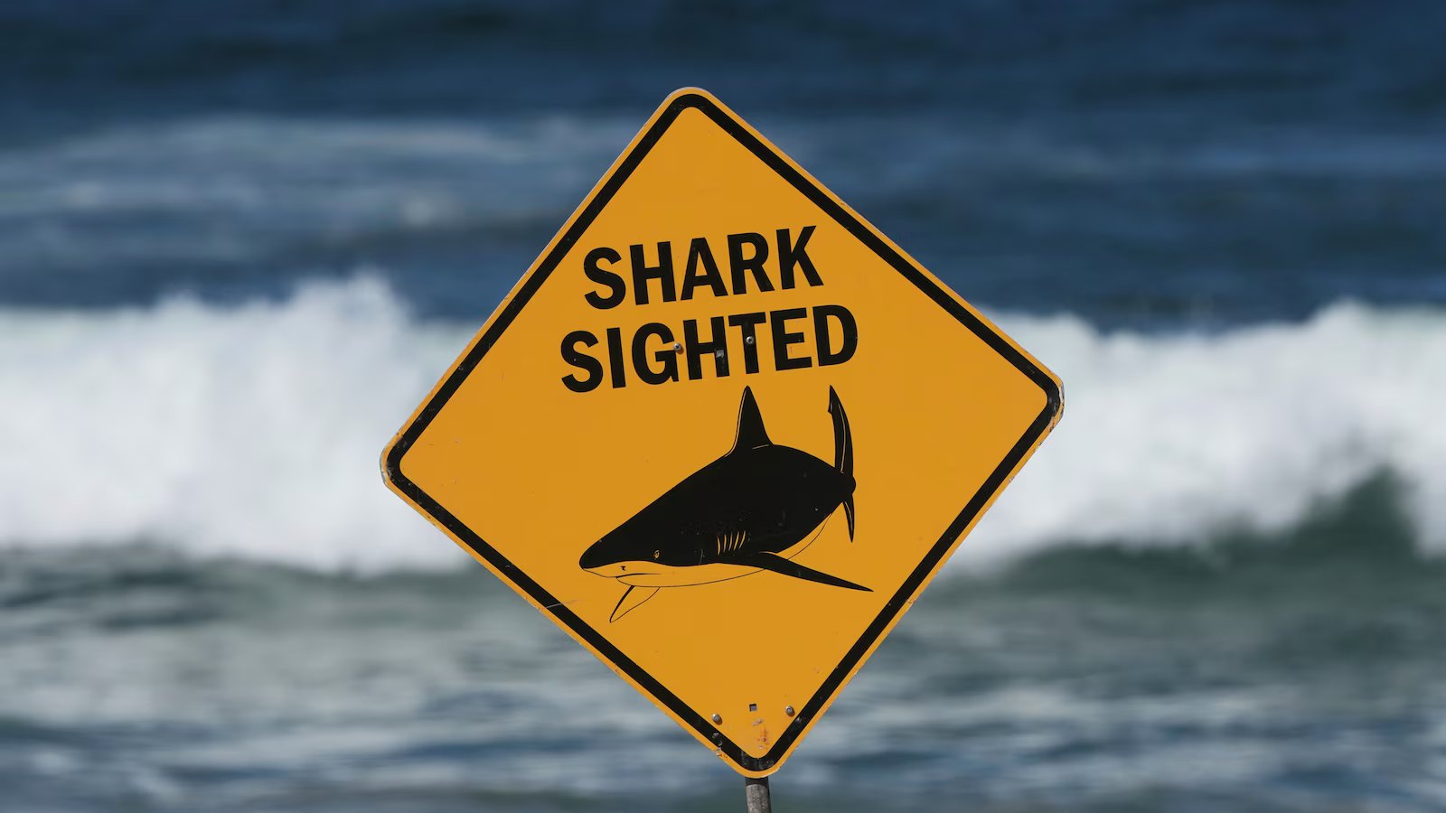 Spearfisher mauled in Australia’s second fatal shark attack in a week