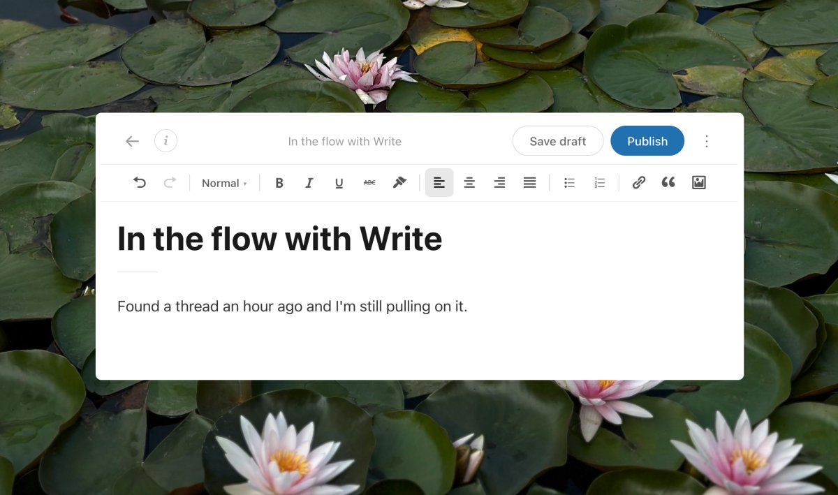 Introducing Write: a new way to post, built for writers – WordPress.com News