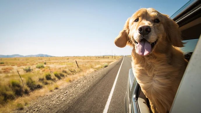 What we've been playing – "I'd like to shout out a fun game you can only really do on the road"