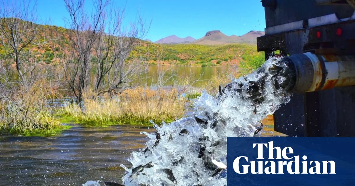 Arizona lake closes indefinitely to visitors after all of its fish die | Arizona
