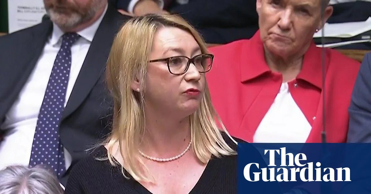 Labour MP sues Elon Musk’s AI company over fake sexualised images | Grok AI